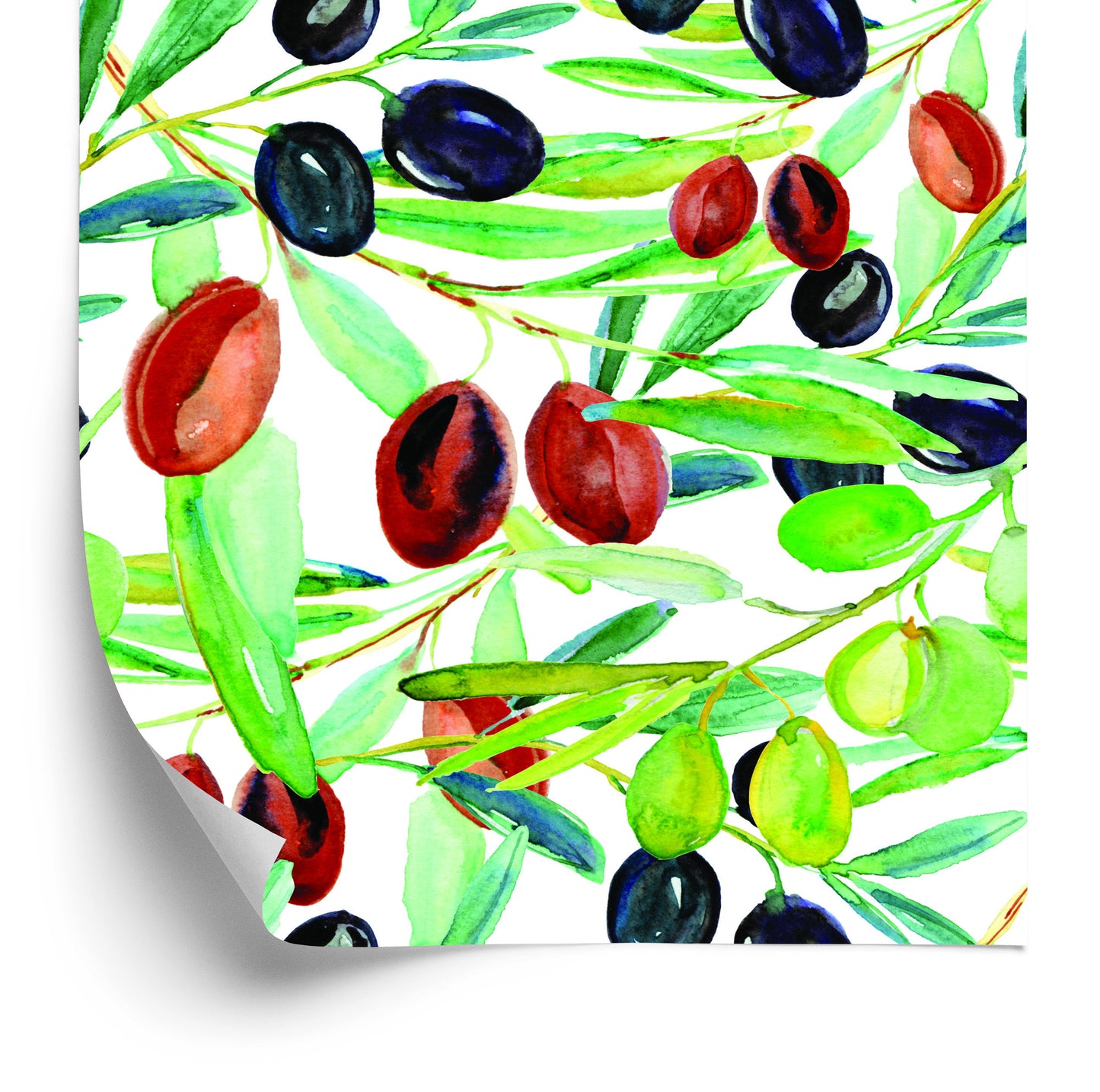 Wallpaper Branches With Fruit Greenery For Kitchen