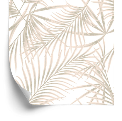 Wallpaper Palm Leaves