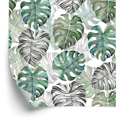 Wallpaper Monstera Leaves