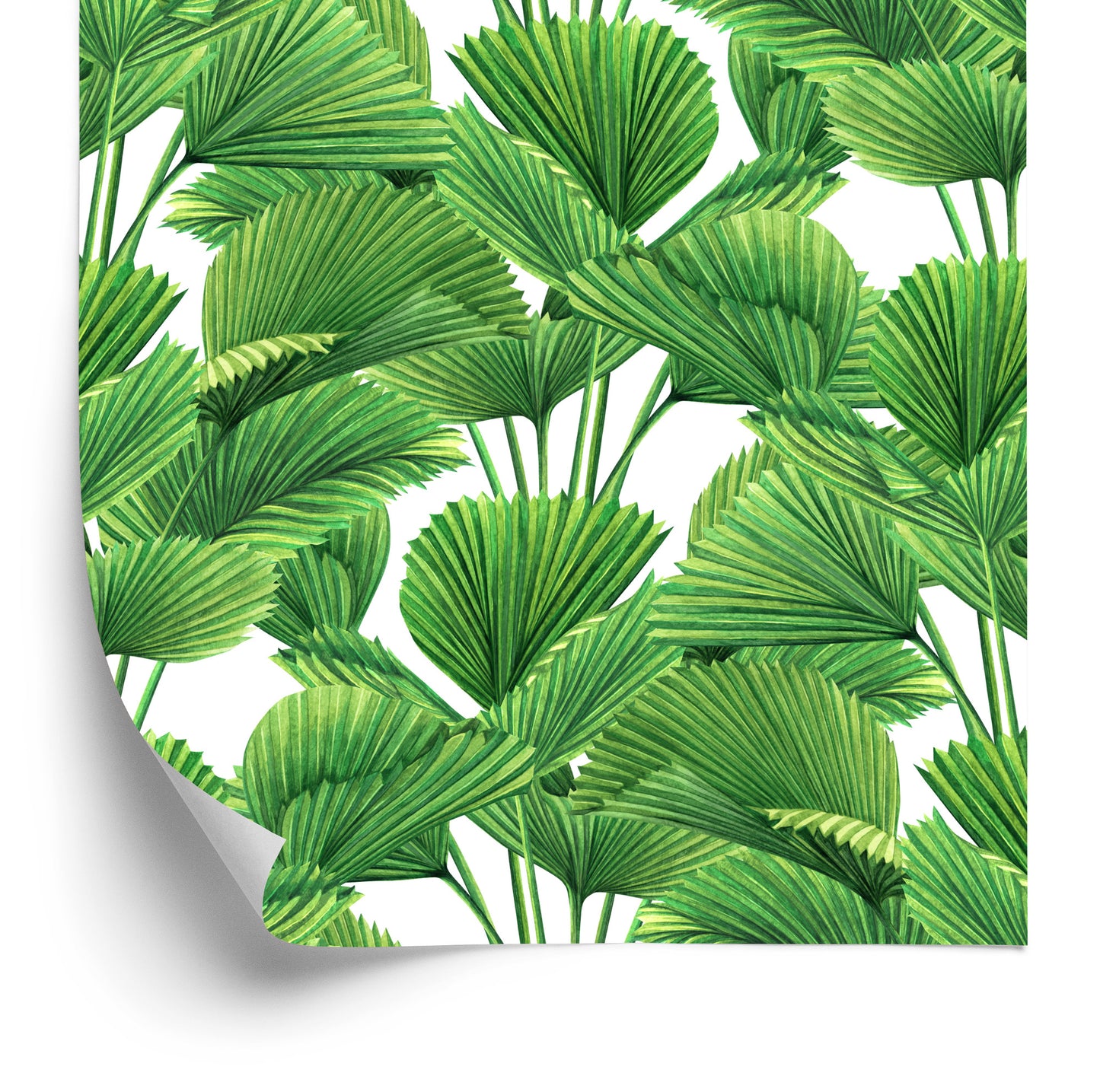 Wallpaper Watercolor Coconut And Palm Leaves
