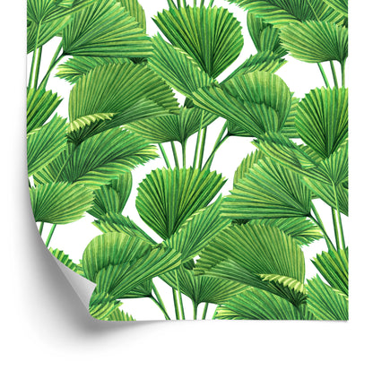 Wallpaper Watercolor Coconut And Palm Leaves