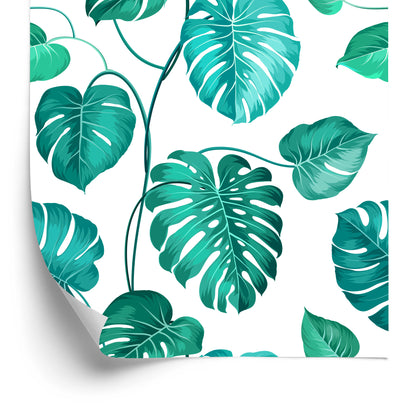 Wallpaper Monstera Natura Leaves