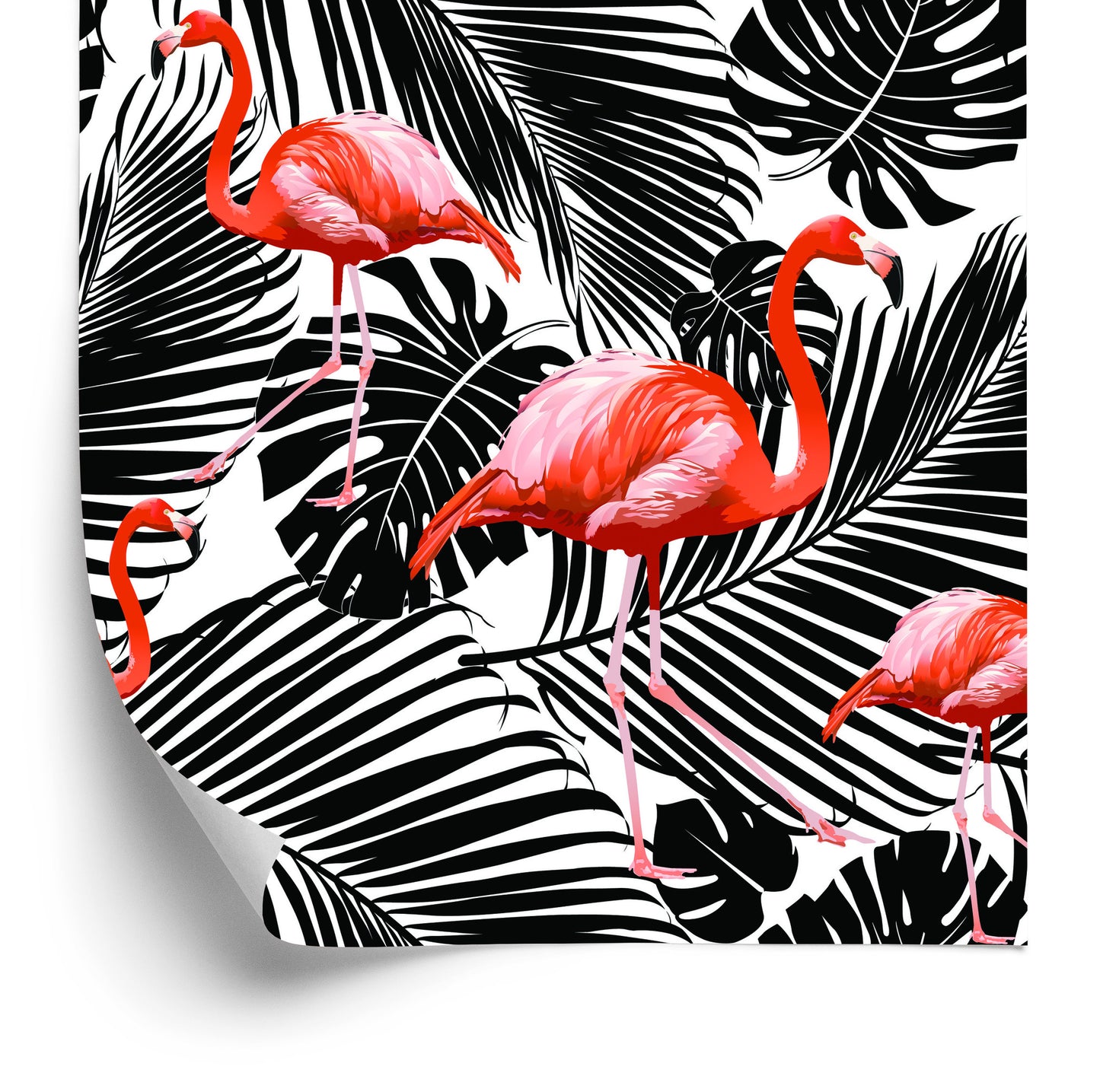 Wallpaper Flamingos And Black Exotic Leaves