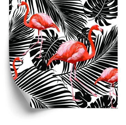 Wallpaper Flamingos And Black Exotic Leaves