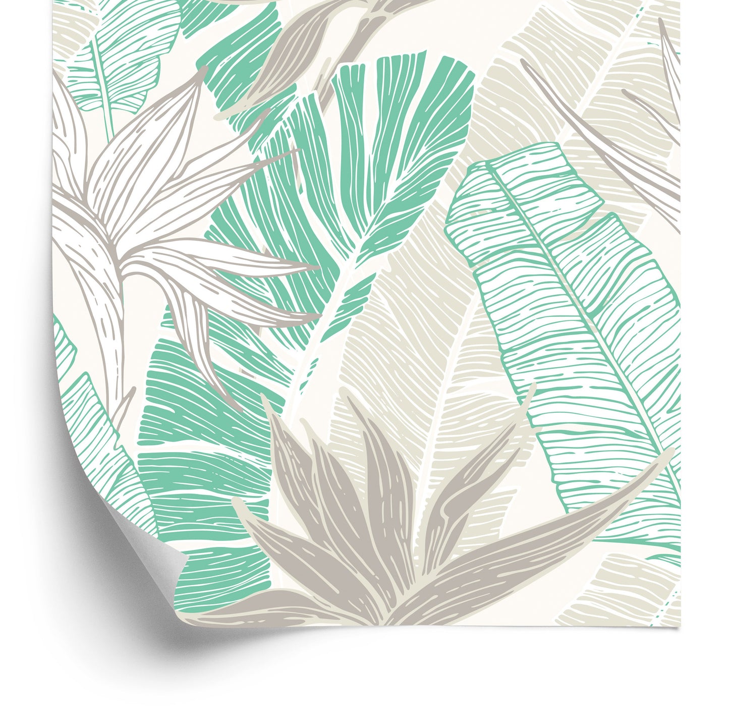Wallpaper Palm And Banana Leaves