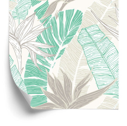 Wallpaper Palm And Banana Leaves