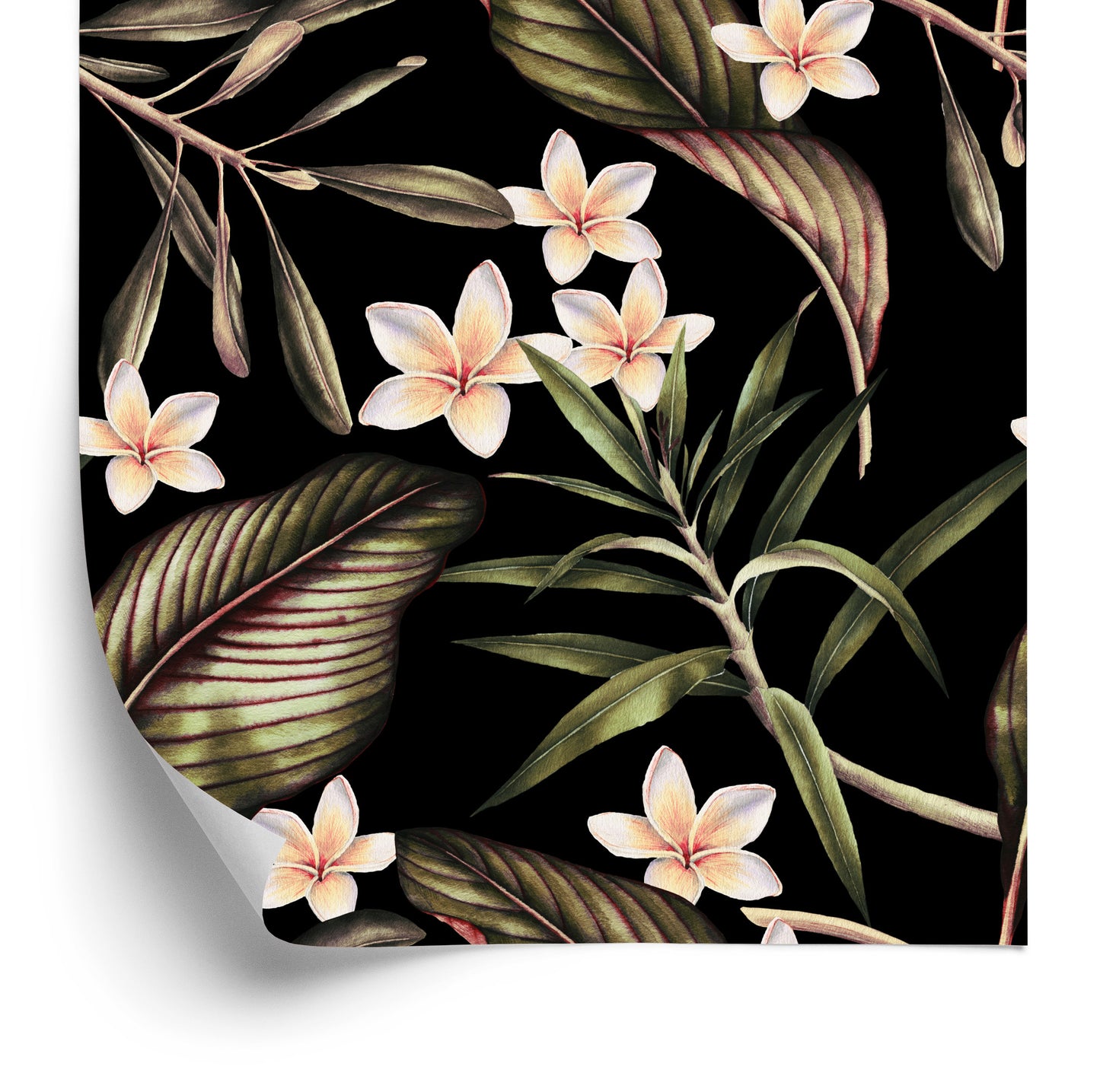 Wallpaper Flowers