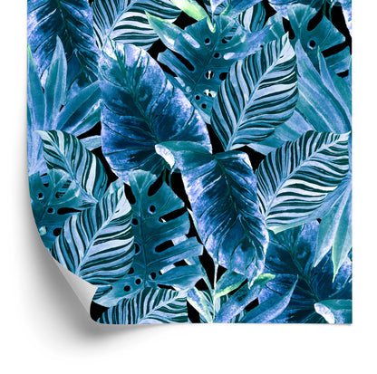 Wallpaper Tropical Plants In A New Release