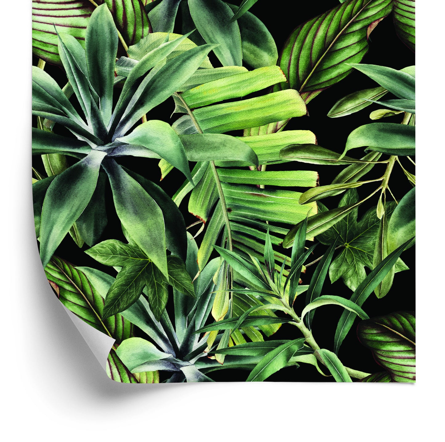 Wallpaper Tropical Banana Leaves