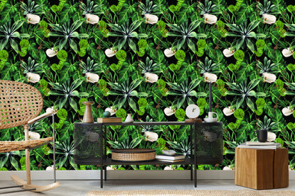 Wallpaper Exotic Plants