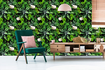 Wallpaper Exotic Plants