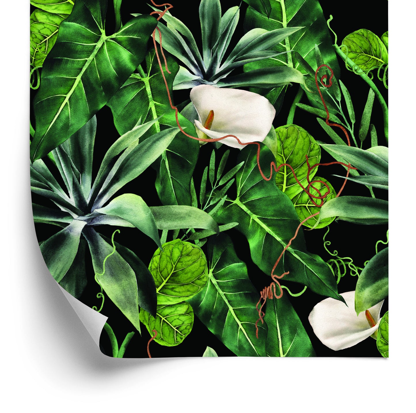 Wallpaper Exotic Plants