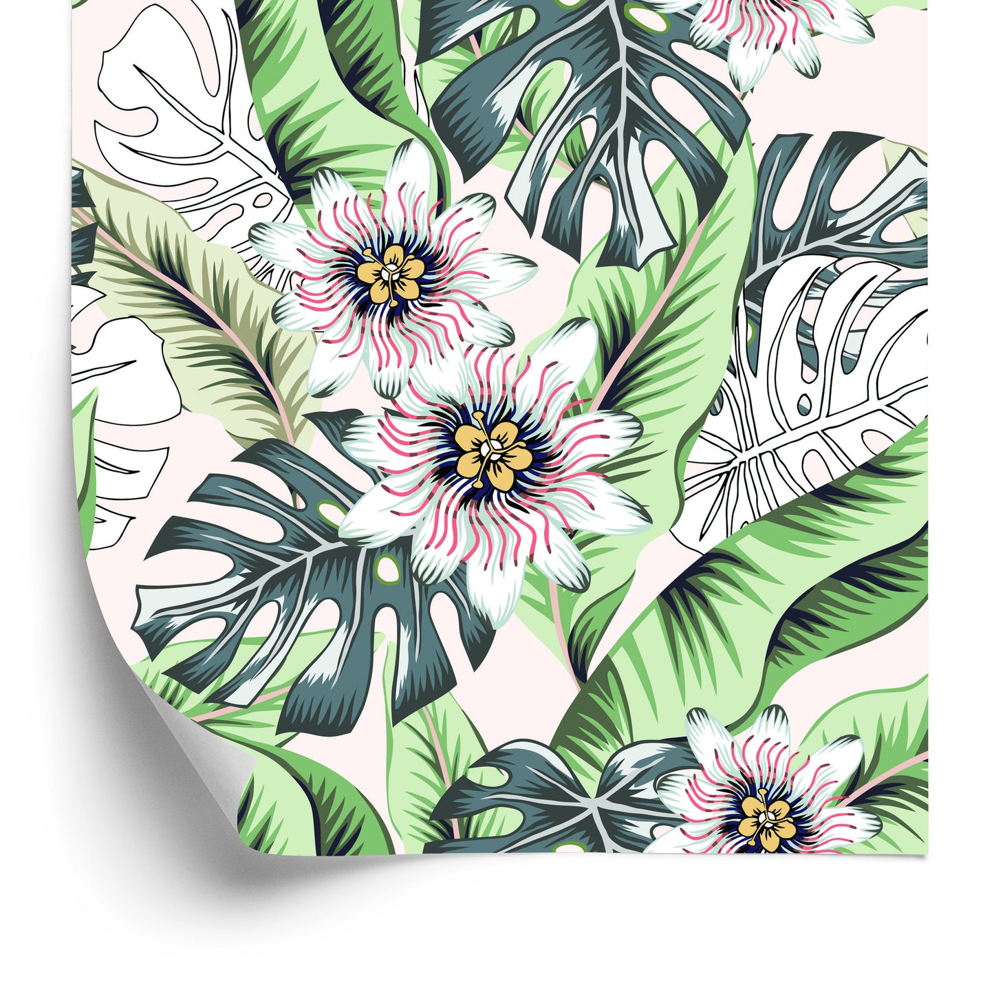 Wallpaper Banana Leaves