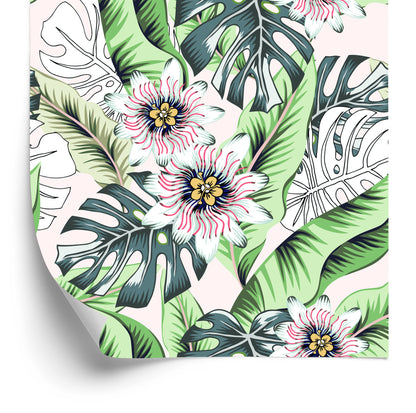 Wallpaper Banana Leaves