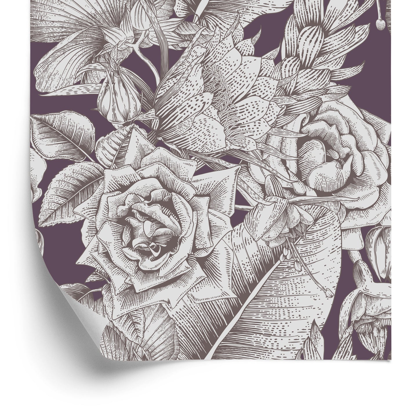 Wallpaper Roses By W.