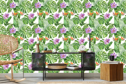 Wallpaper Beautiful Exotic Flowers