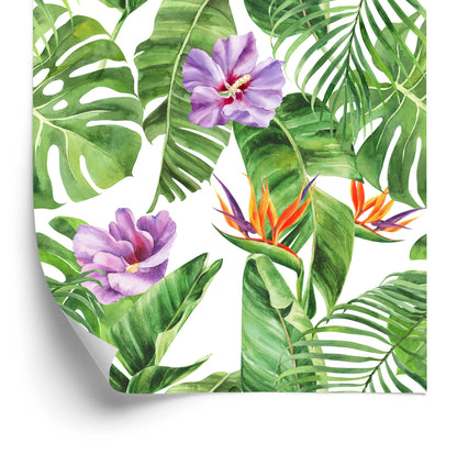 Wallpaper Beautiful Exotic Flowers