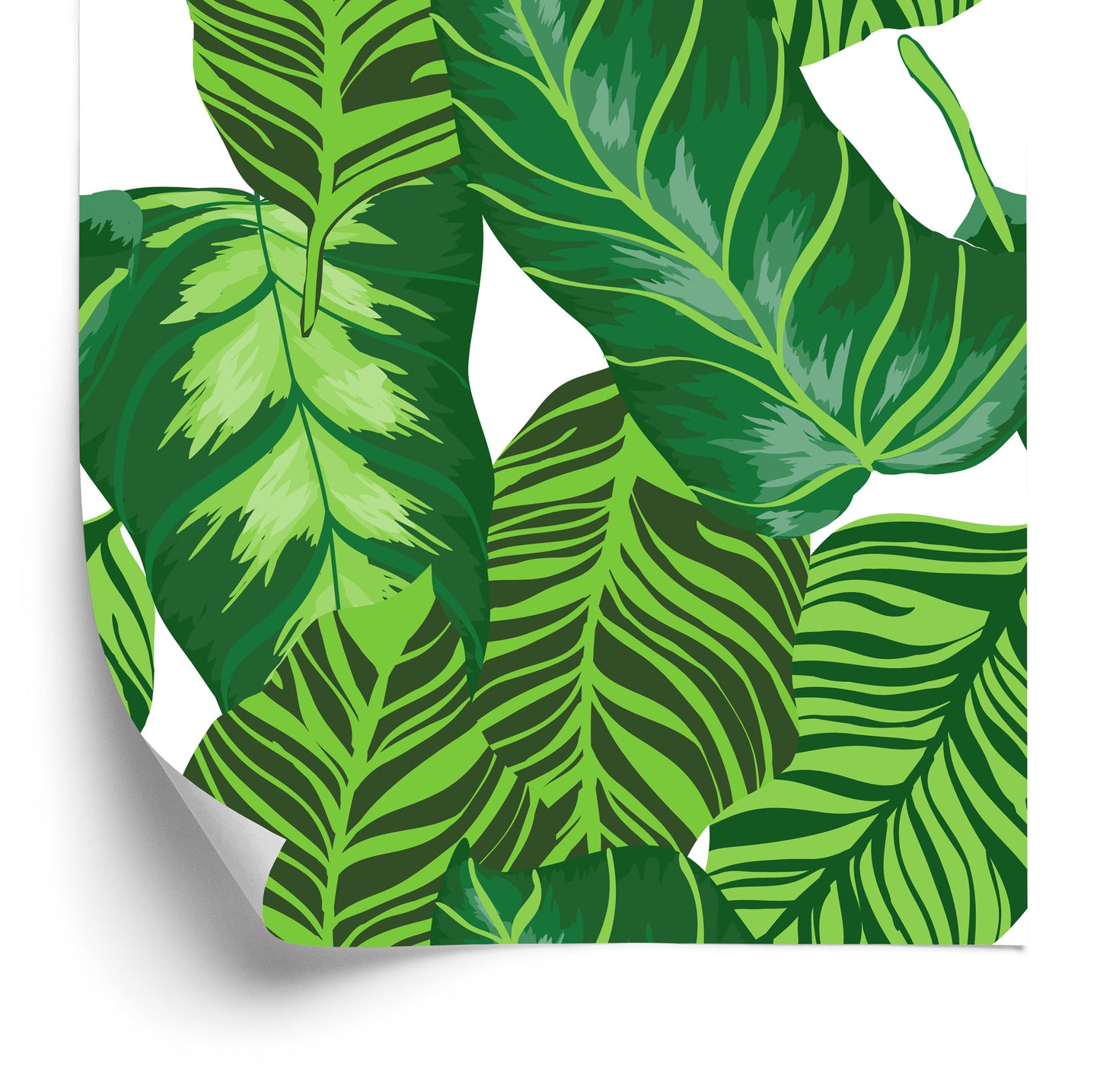 Wallpaper Beautiful Exotic Leaves