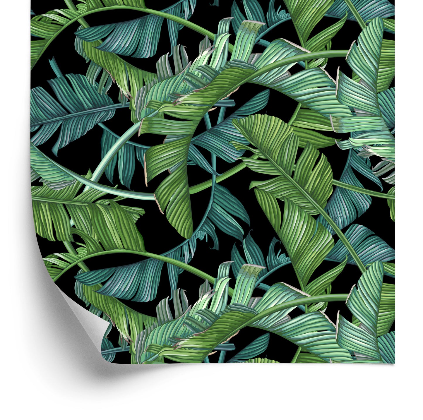 Wallpaper Tropical Palm Leaves