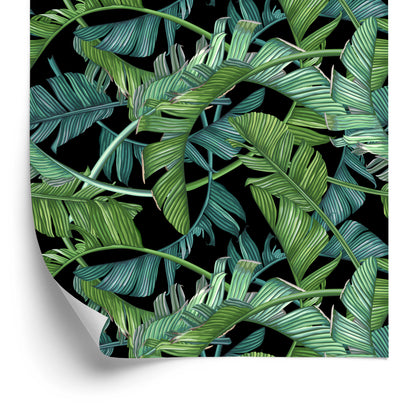 Wallpaper Tropical Palm Leaves