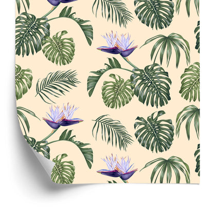 Wallpaper Monstera Leaves