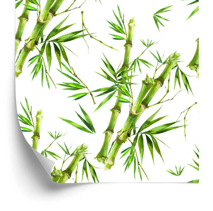 Wallpaper Bamboo Branches With Leaves