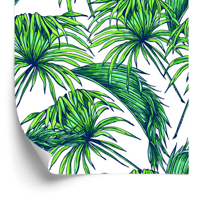 Wallpaper Palm Leaves