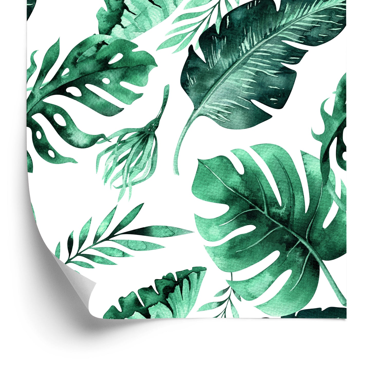 Wallpaper Beautiful Exotic Leaves