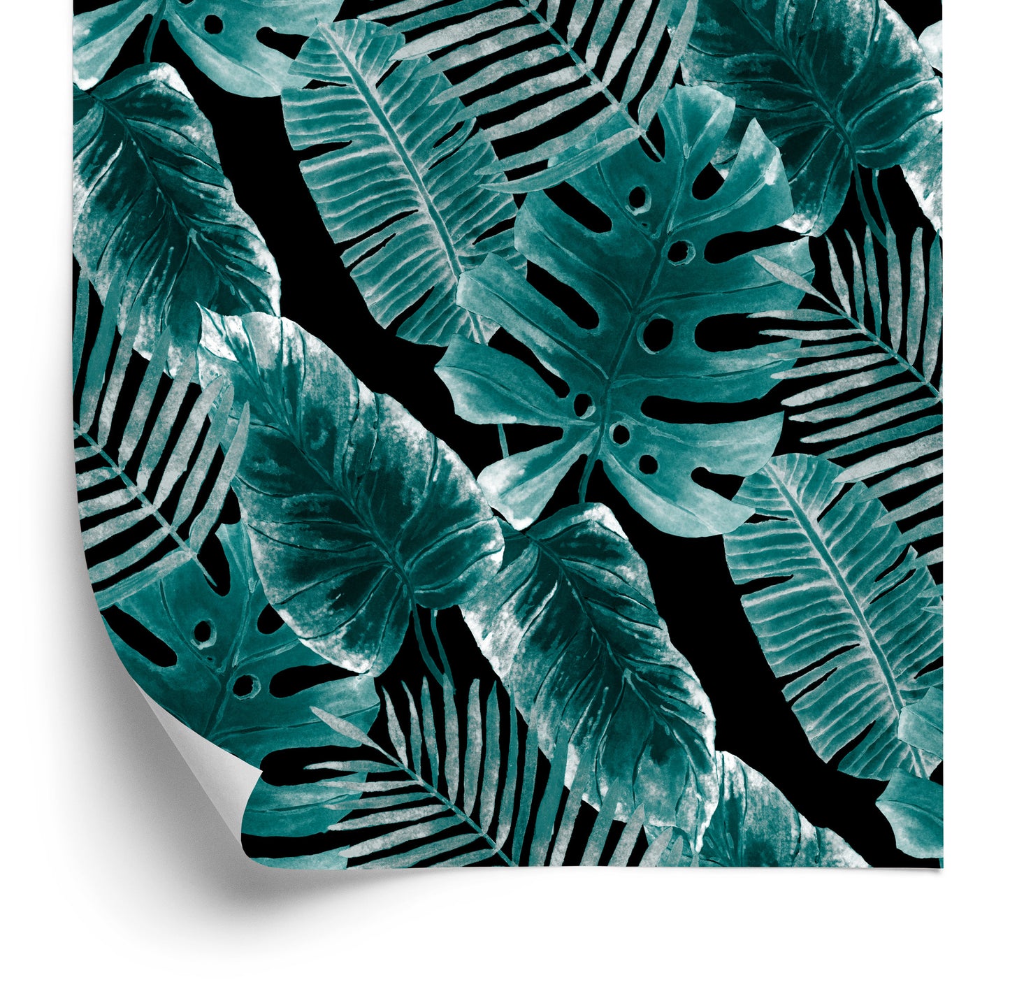 Wallpaper Leaves Of Passion Fruit And Monstera
