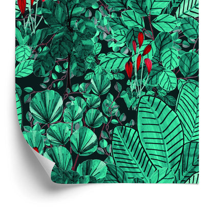 Wallpaper Monstera Leaves