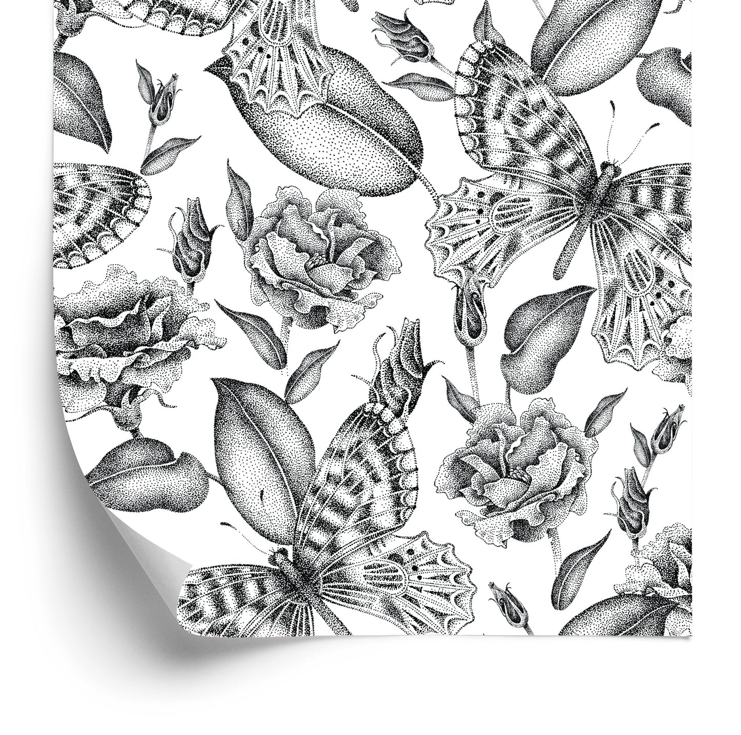 Wallpaper Black And White Roses With Butterflies