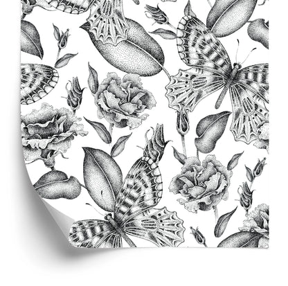Wallpaper Black And White Roses With Butterflies
