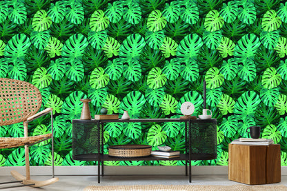 Wallpaper Monstera Leaves