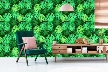 Wallpaper Monstera Leaves