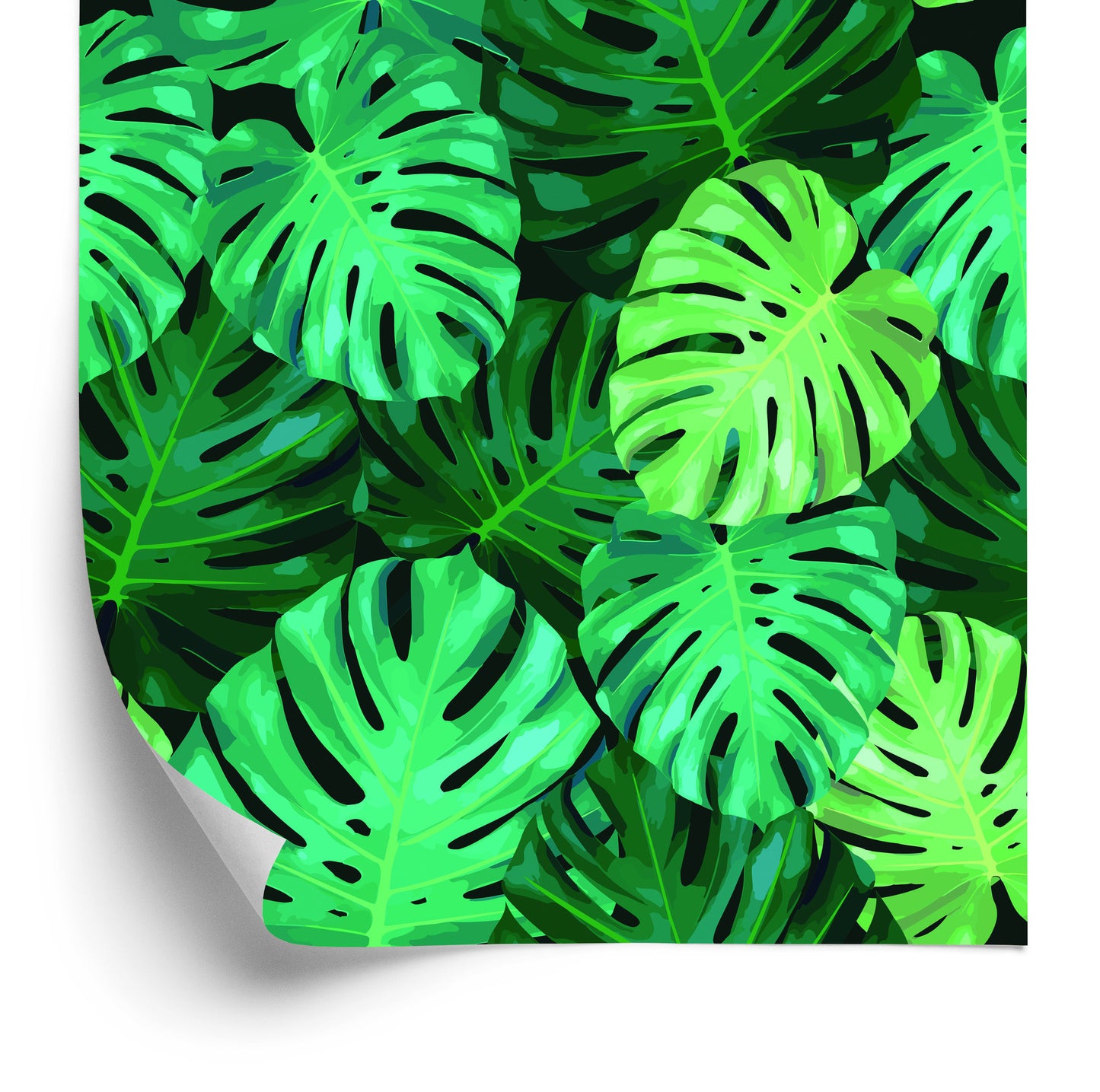 Wallpaper Monstera Leaves