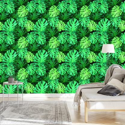 Wallpaper Monstera Leaves