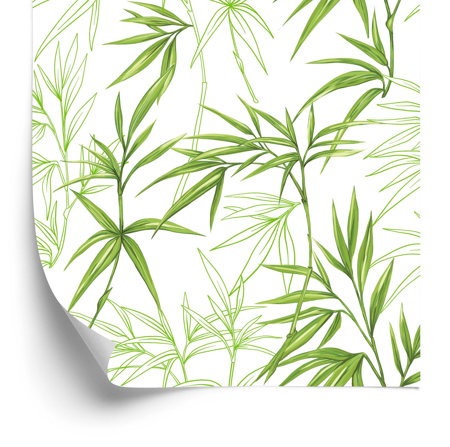 Wallpaper Drawings Of Bamboo Leaves