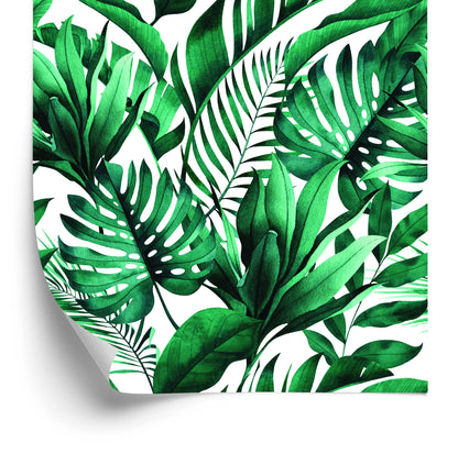Wallpaper Green