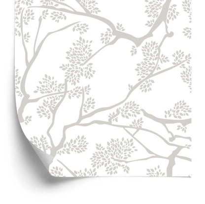 Wallpaper Tree Branches Nature Living Room Bedroom