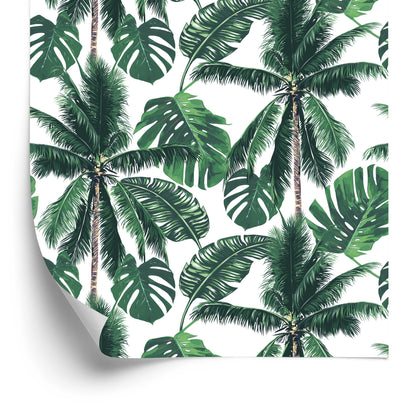 Wallpaper Nature Palm Forest For Living Room Bedroom
