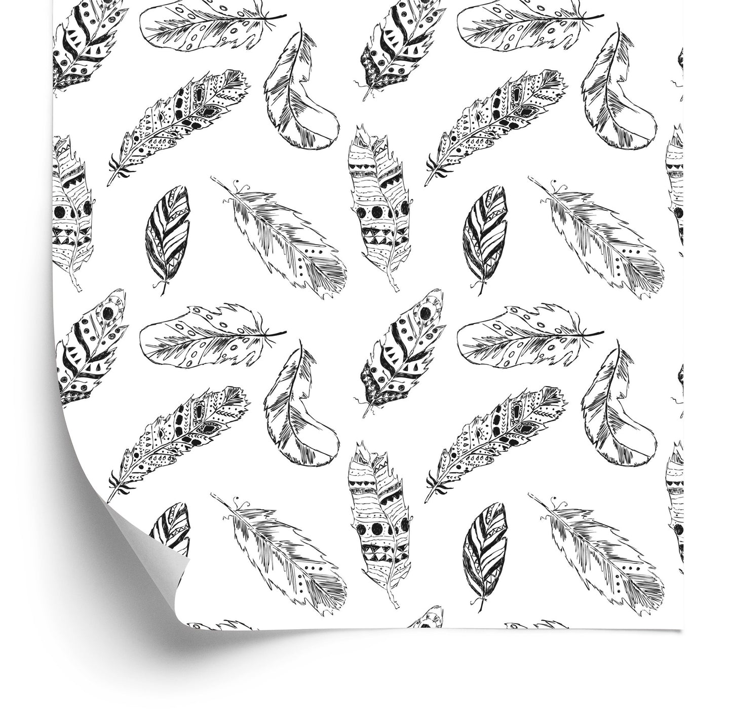 Wallpaper Black And White Feathers
