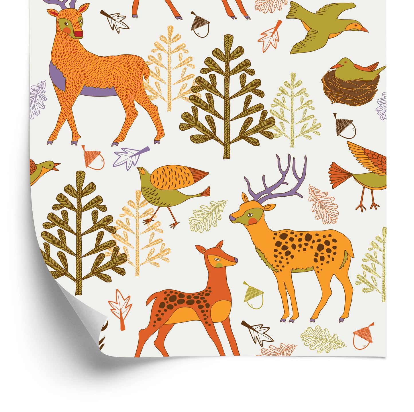 Wallpaper For Children - Beautiful Forest Animals