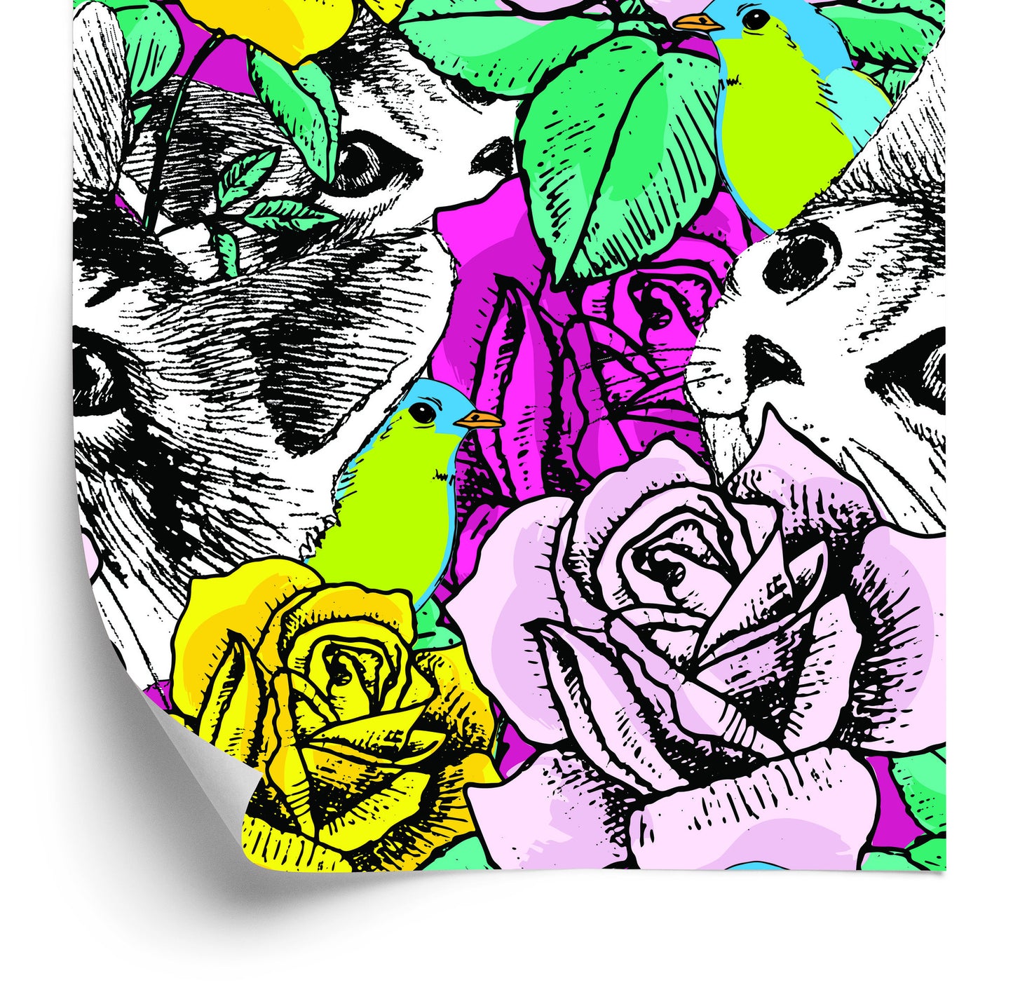 Wallpaper Cats, Birds And Roses