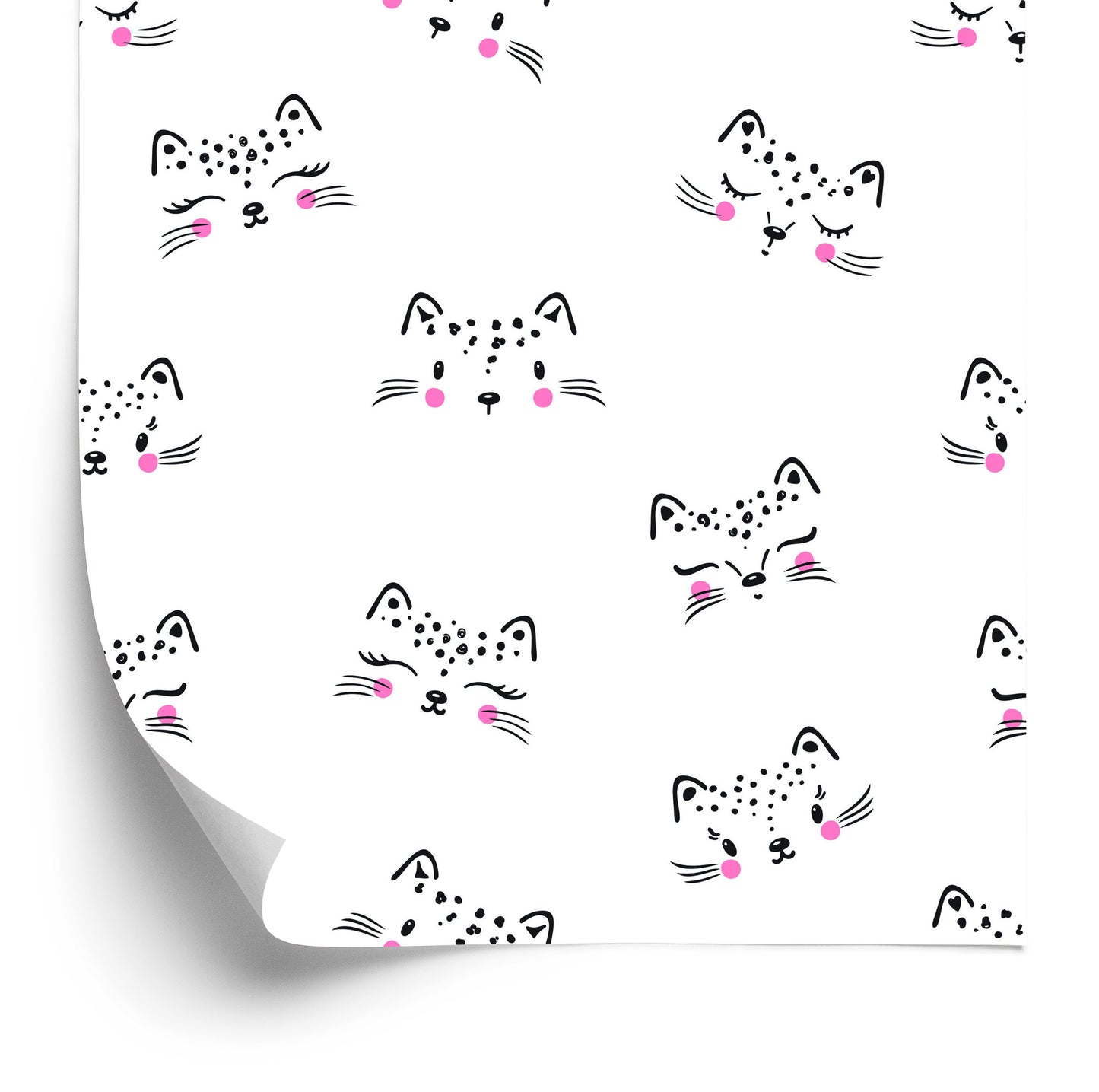 Wallpaper Little Cats