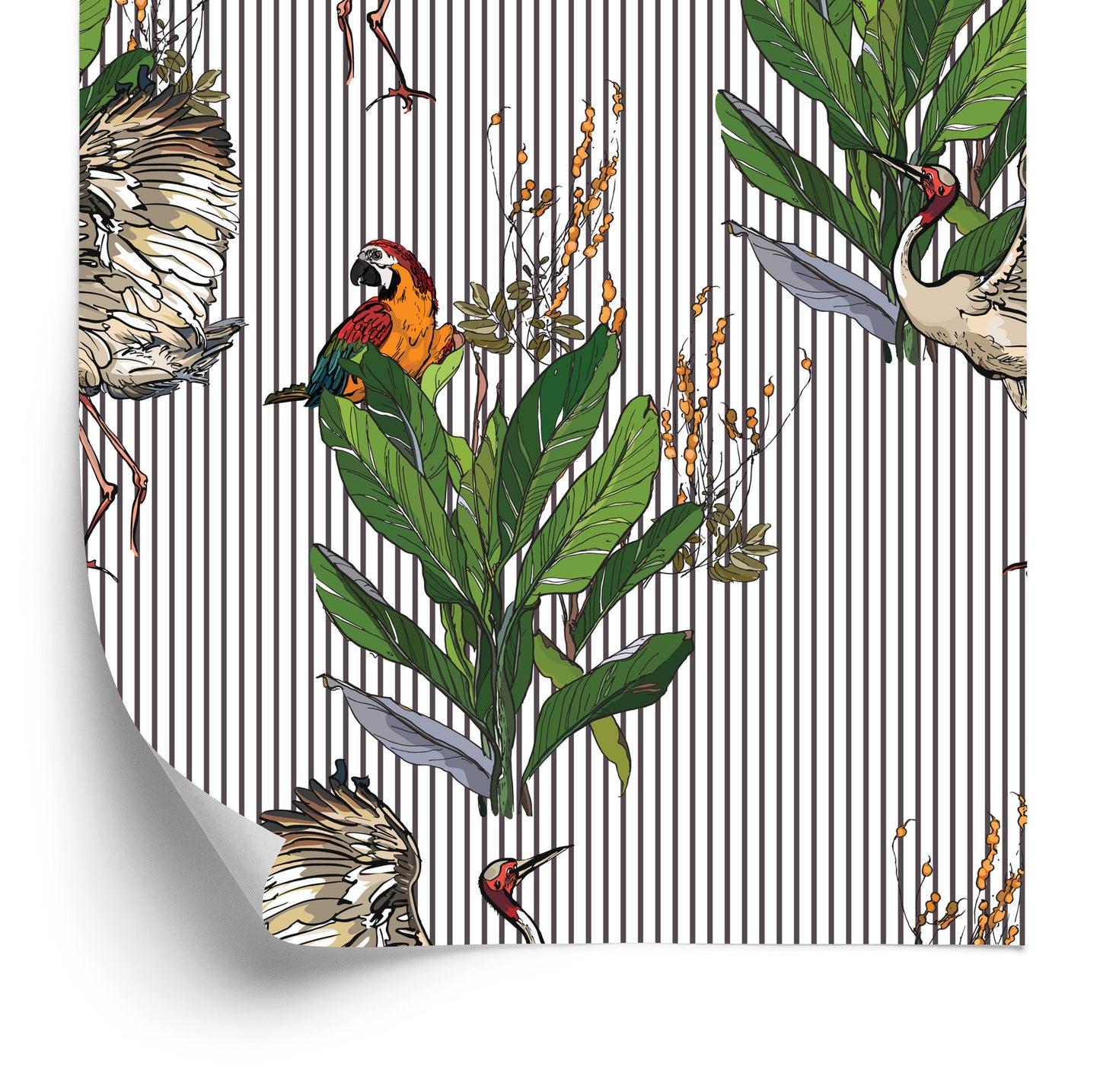 Wallpaper Parrots And Cranes