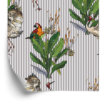 Wallpaper Parrots And Cranes