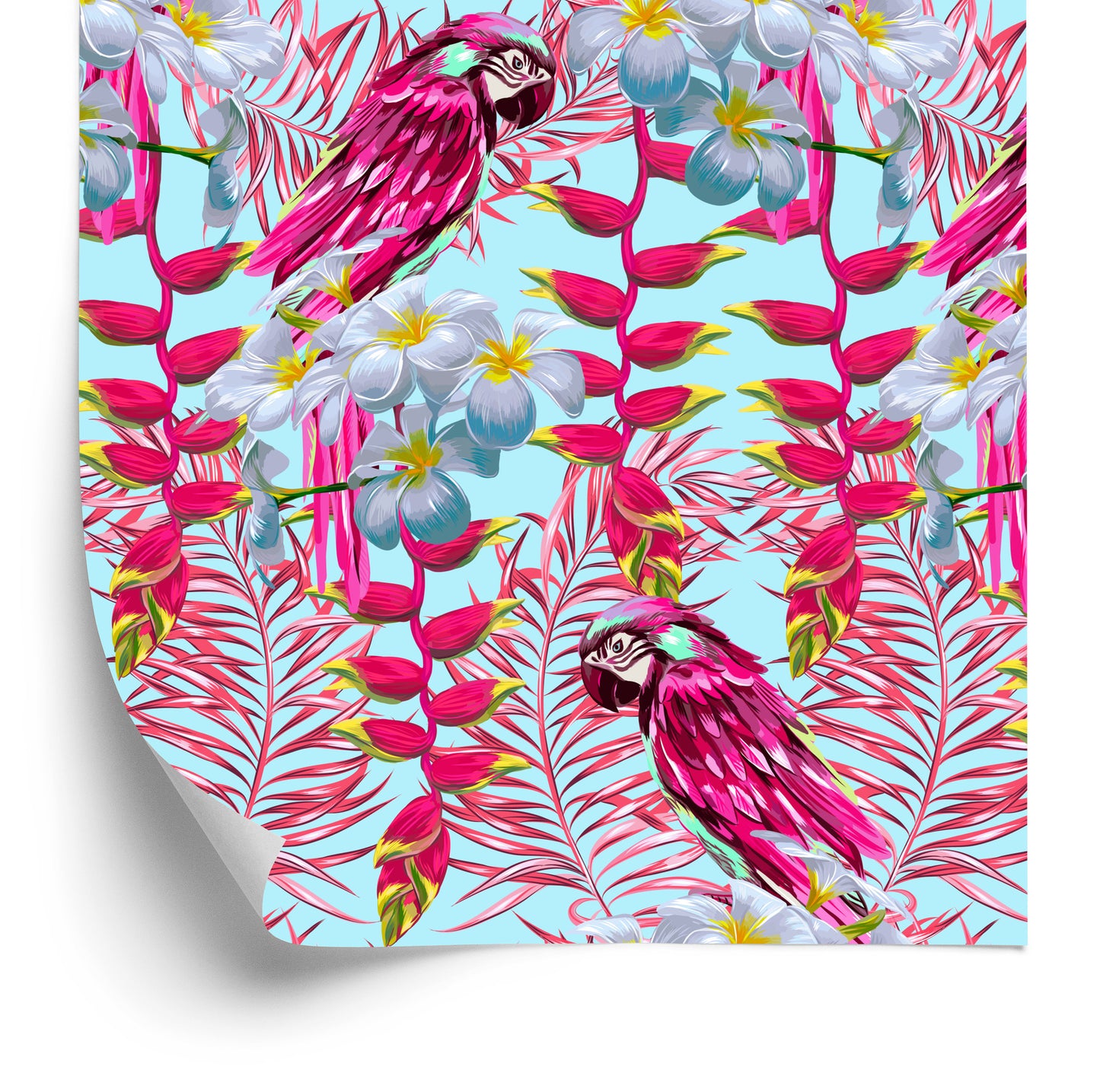 Wallpaper Beautiful Parrots