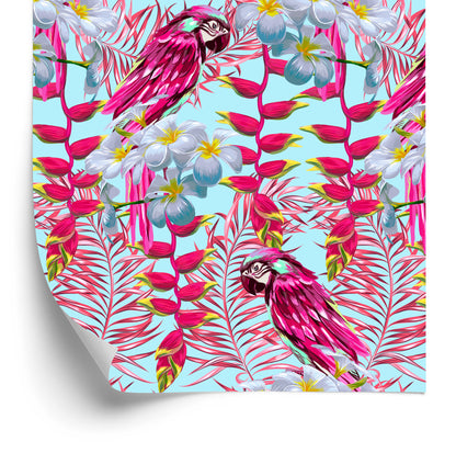 Wallpaper Beautiful Parrots
