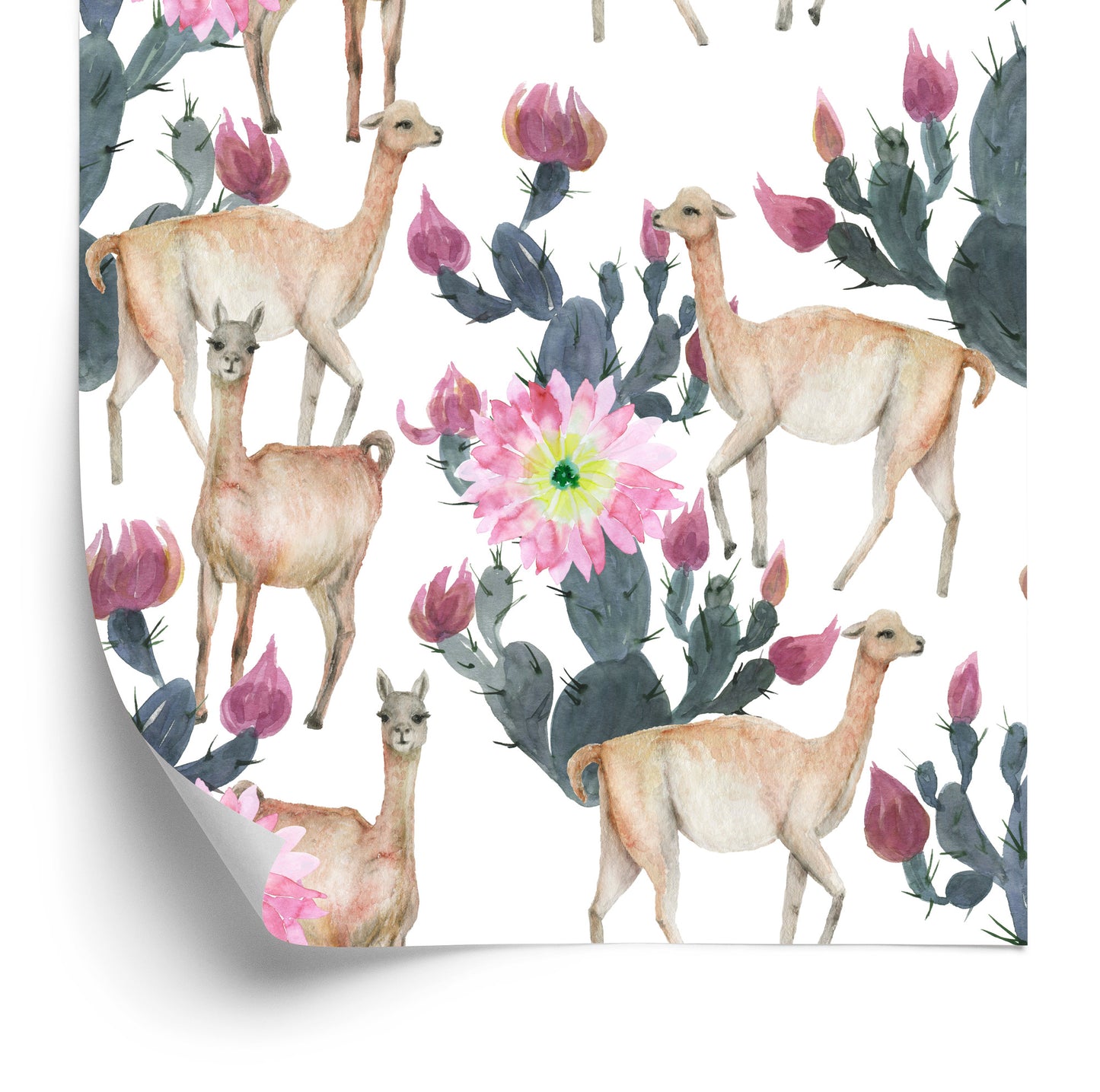 Wallpaper Alpaca Cacti And Flowers