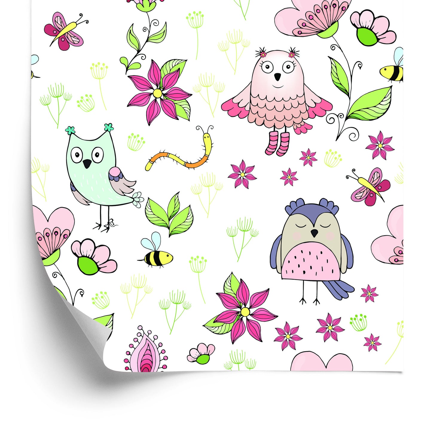 Wallpaper The Nature Of The Owls